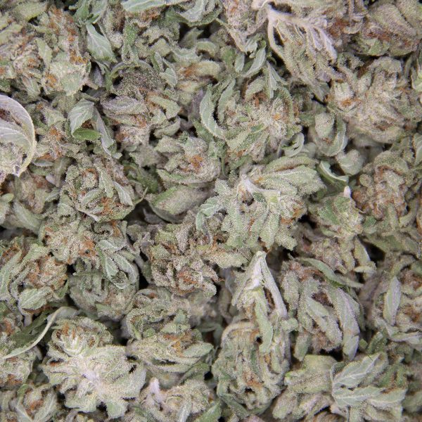AK-47 (Smalls) AA - Image 2