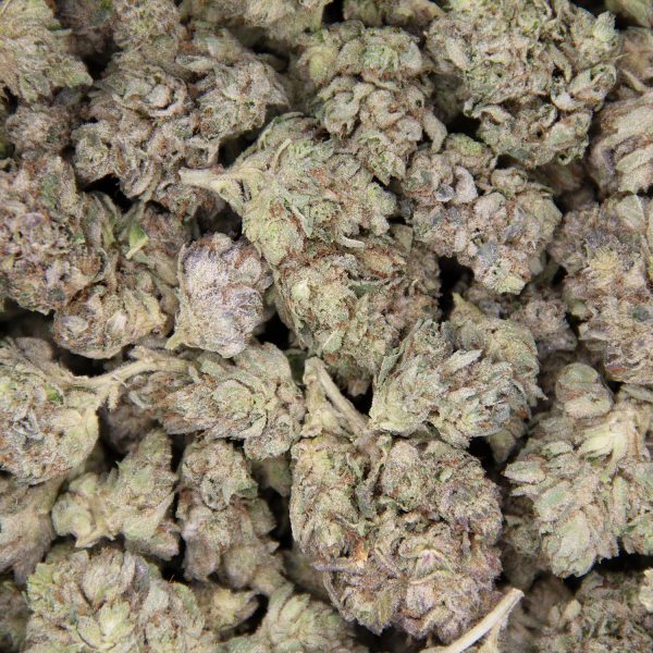 Afghan AA - Image 3