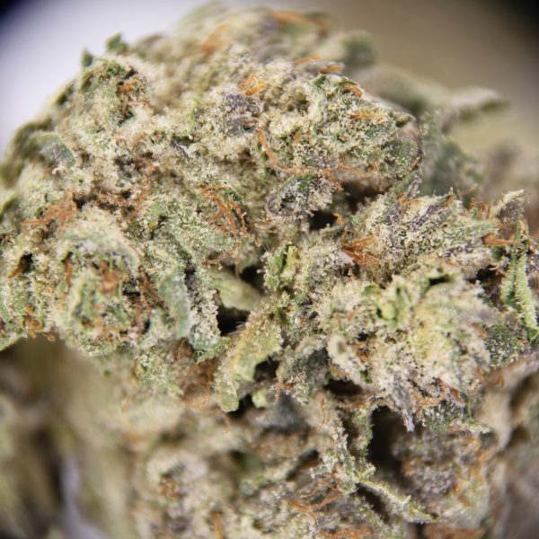 Afghan AA - Image 2