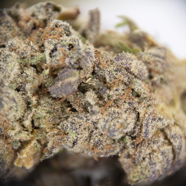 Alaskan Thunder Fuck AA - Image 3