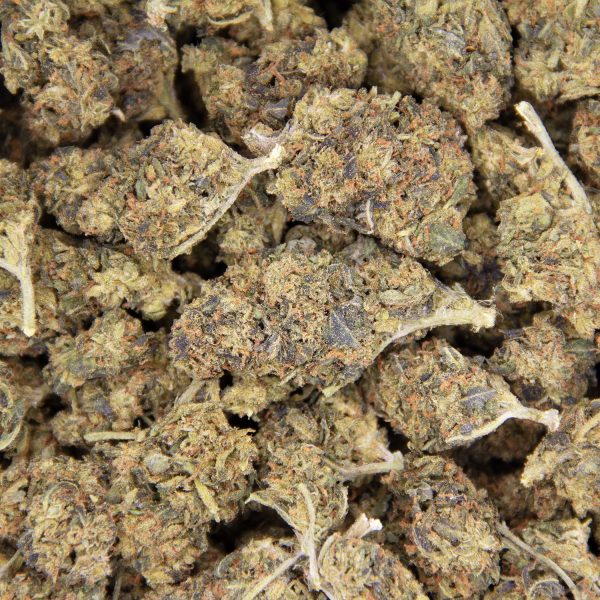 Amnesia AA - Image 3