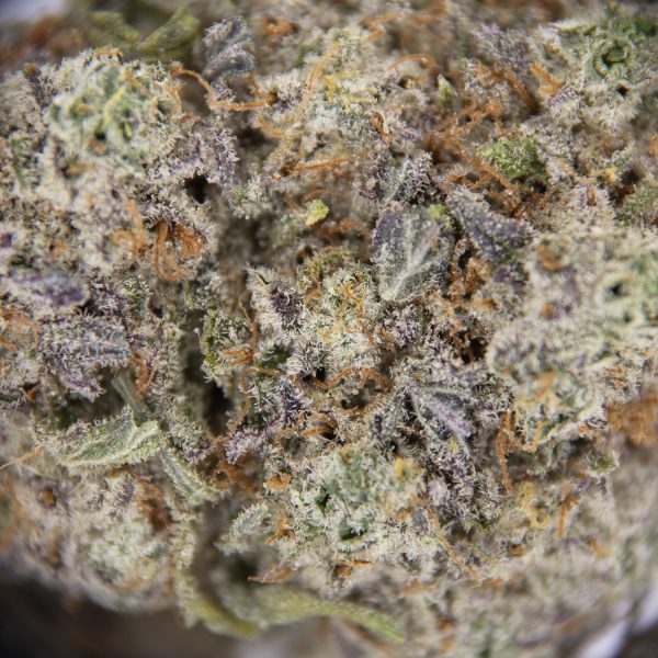 Biscotti AAA - Image 3