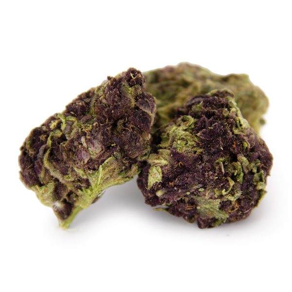 Black Cherry Punch AA