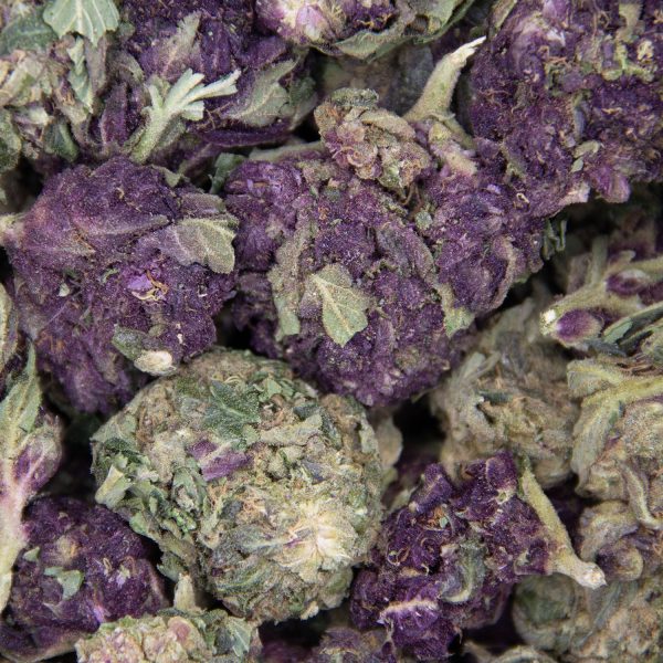 Black Cherry Punch AA - Image 2