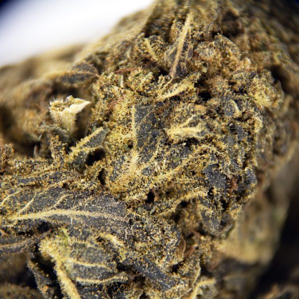 Black Diamond AA - Image 3