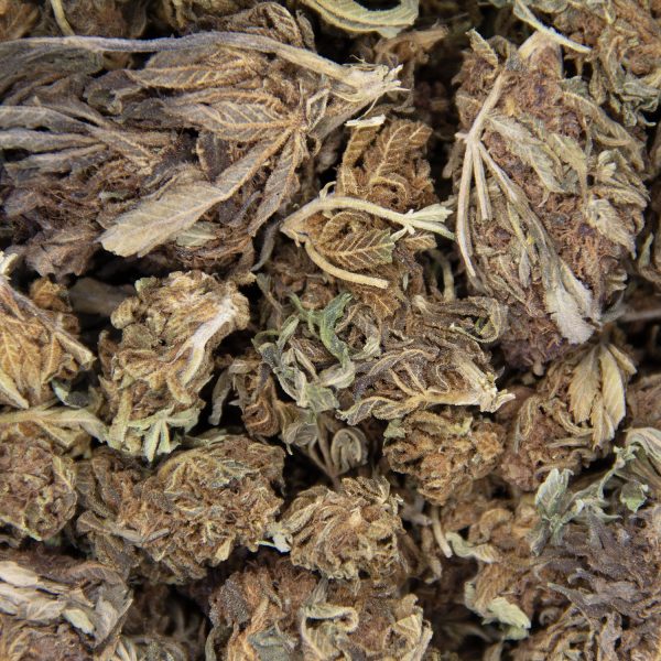 Black Diamond (Mediums) AA- - Image 2
