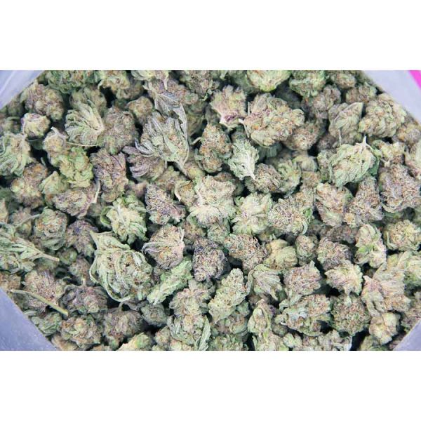 Blackberry Platinum (Popcorn) AAA - Image 2