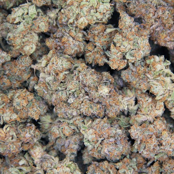 Blue Gelato AAA - Image 2