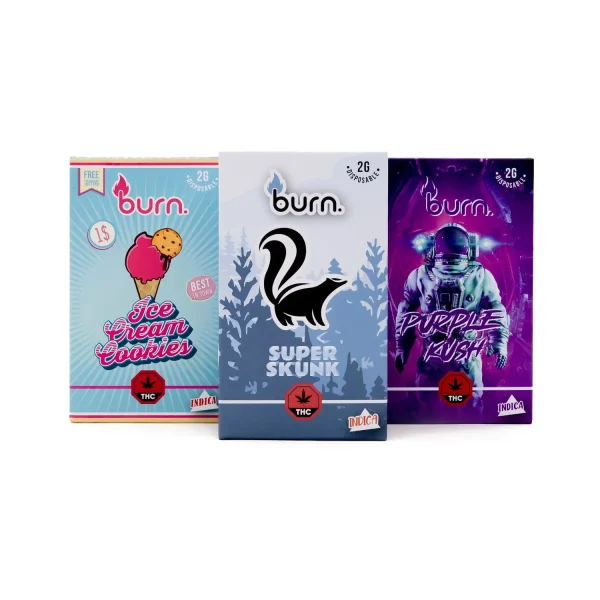 Burn Disposable - 2 Gram Vapes