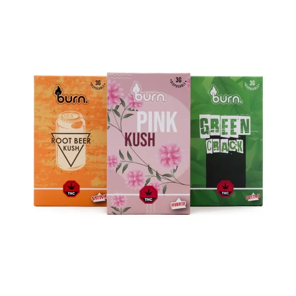 Burn Disposable - 3 Gram Vapes