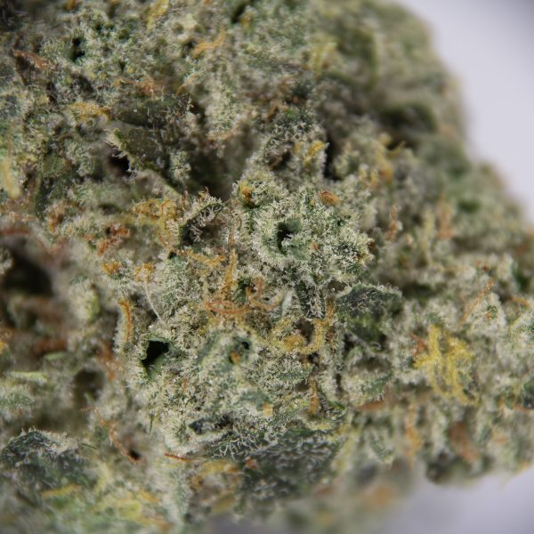 Cherry Punch AAAA+/Craft - Image 2