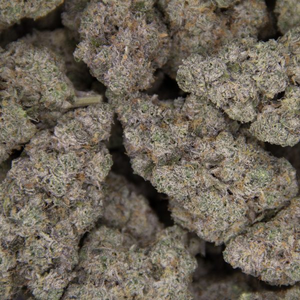 Cherry Punch AAAA+/Craft - Image 3