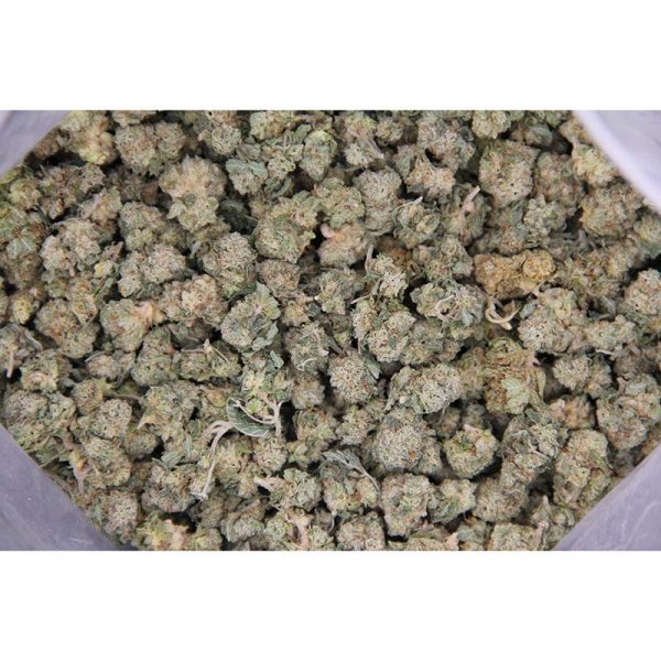 Donkey Butter (popcorn) AAA - Image 2