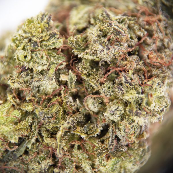 Durban Zkittlez  AA - Image 2