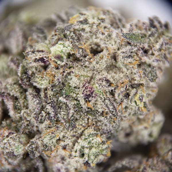 Gelato AAA- - Image 3
