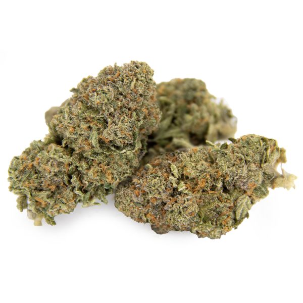 Gelato X AA+