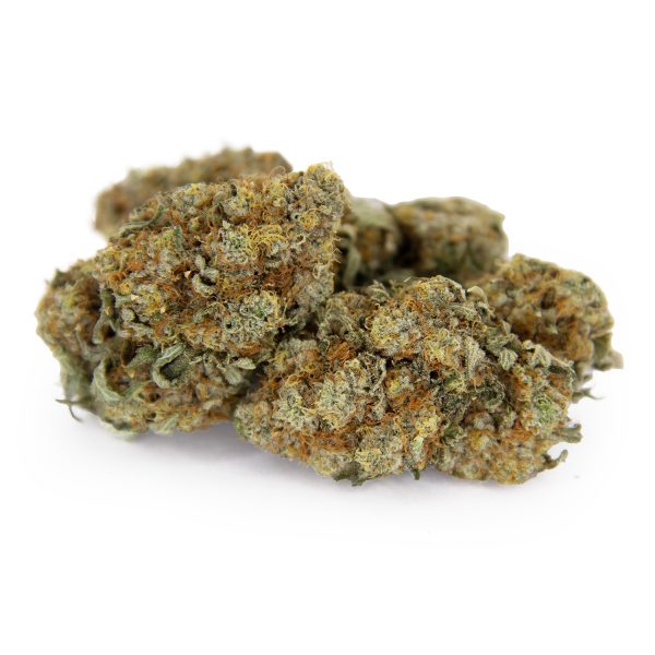 Georgia Pie AAA
