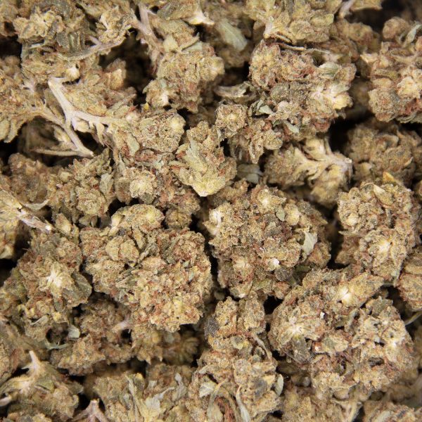 Ghost Train Haze AA - Image 3