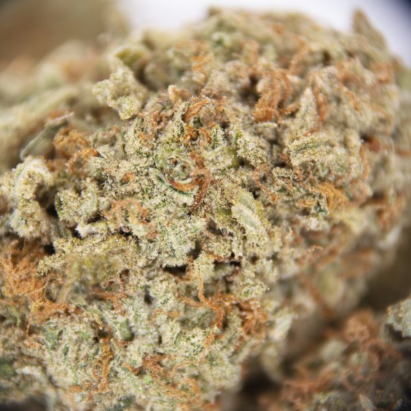 Girl Scout Cookies AAA - Image 2
