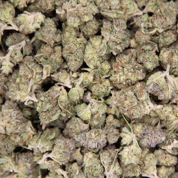 God's Bubba (popcorn) AA - Image 3