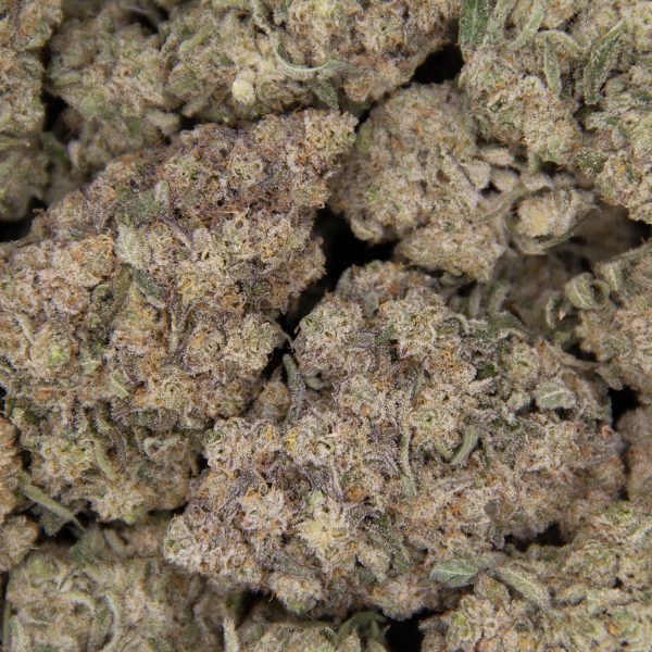 Golden Pineapple AA+ - Image 2