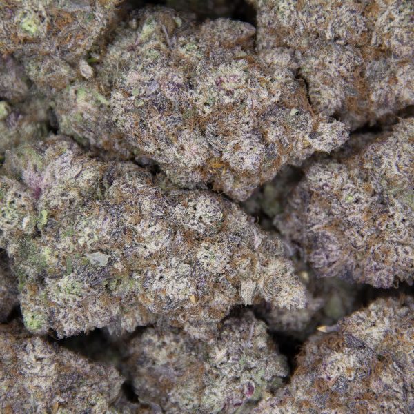 Granddaddy Purple AAAA - Image 2