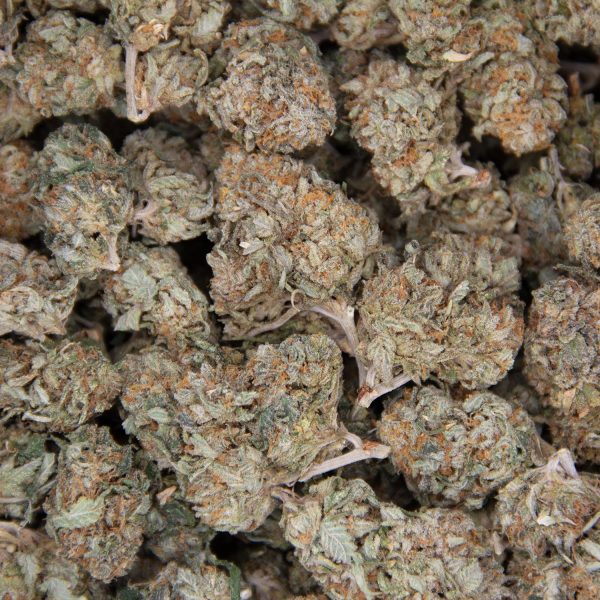 Grape Pie AA+ - Image 2