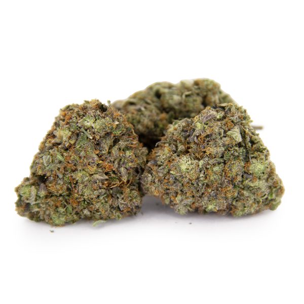 Grease Monkey AAAA