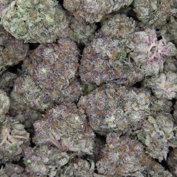 Grease Monkey AAAA - Image 2