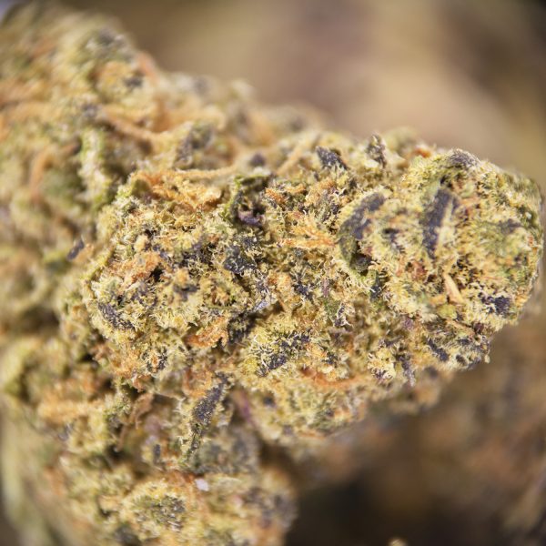 Guava Sherbet (mediums) AAA - Image 2