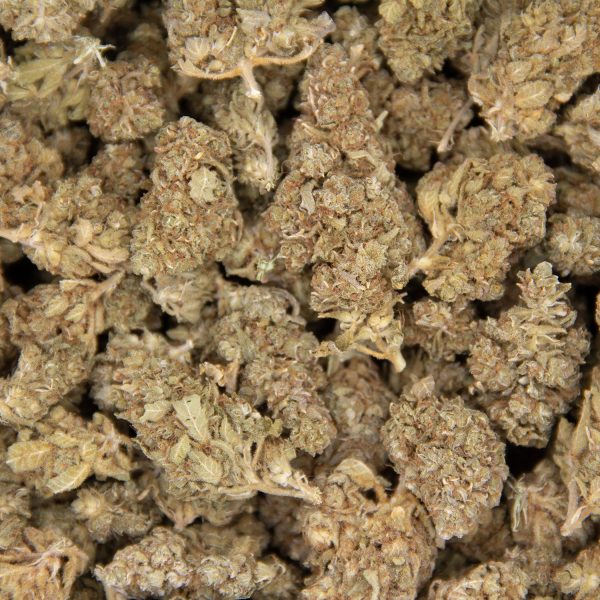 Hash Plant (mediums) AA - Image 2