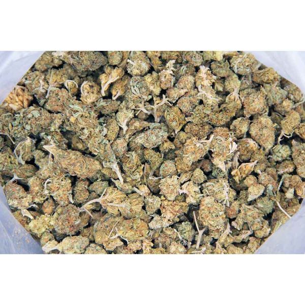Hybrid Popcorn Mix AA - Image 2