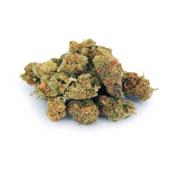 Hybrid Popcorn Mix AA