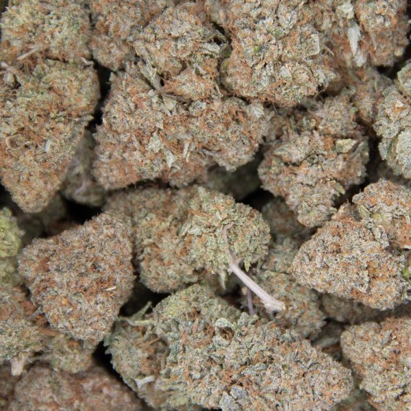 Rockstar AA+ - Image 2