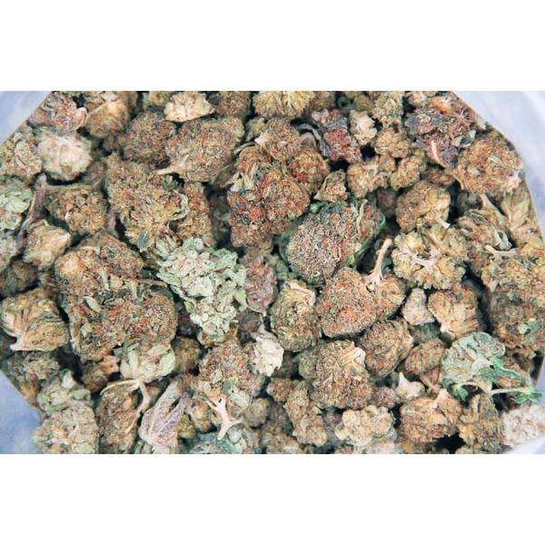 Indica Mix AA - Image 2