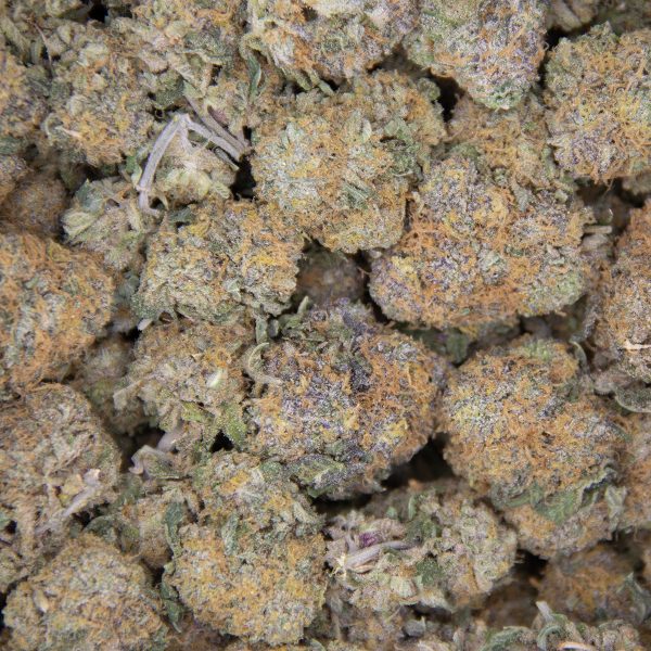 Jack Herer (Mediums) AA+ - Image 2