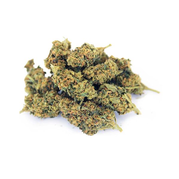 Key Lime Pie AA