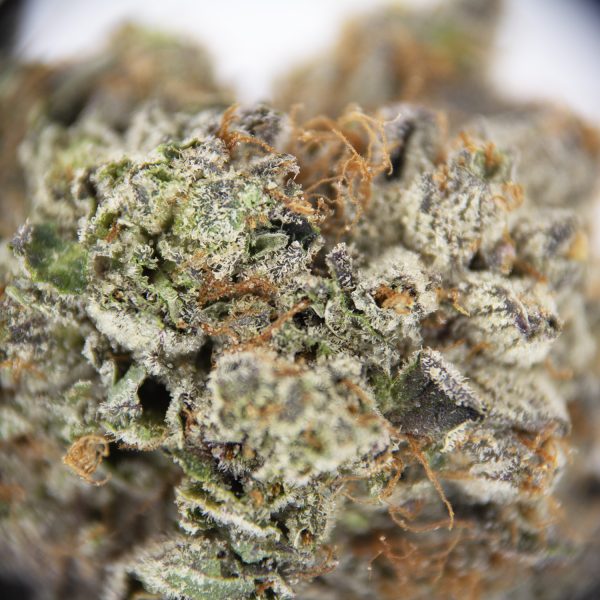 LA Confidential AAAA - Image 2