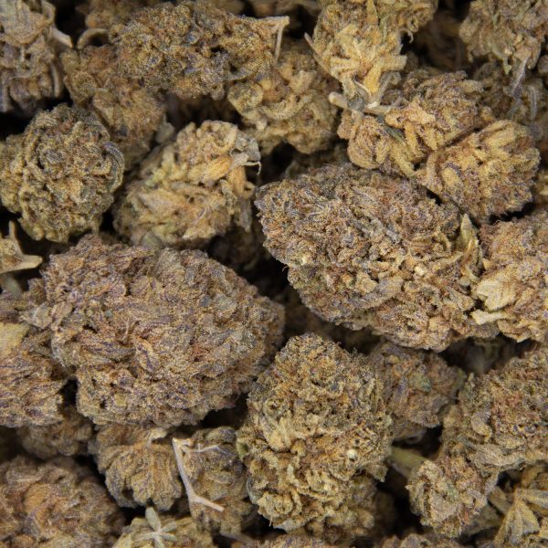 Lemon Stardawg AA - Image 2