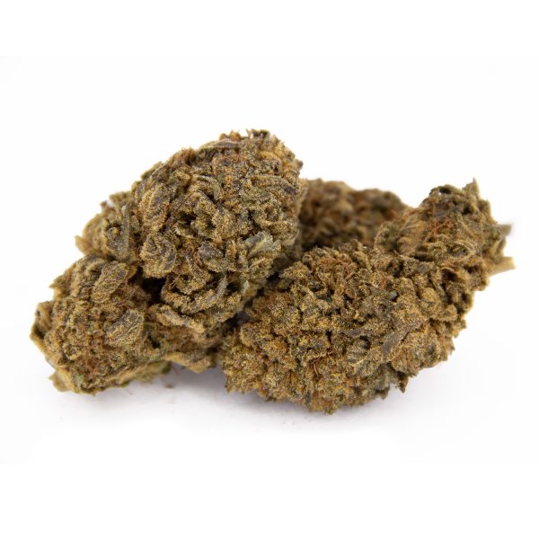 Lemon Stardawg AA