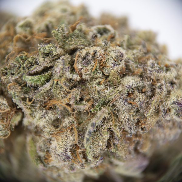 Lime Skunk AAA - Image 3