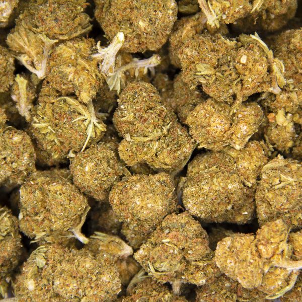 Mango Kush AA - Image 3