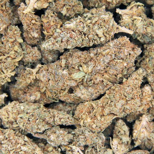 Master Yoda AA- - Image 2