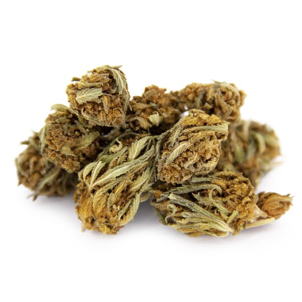 Medibud (Mediums) AA-