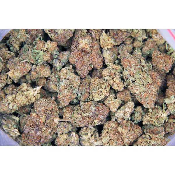 Mimosa AA - Image 2