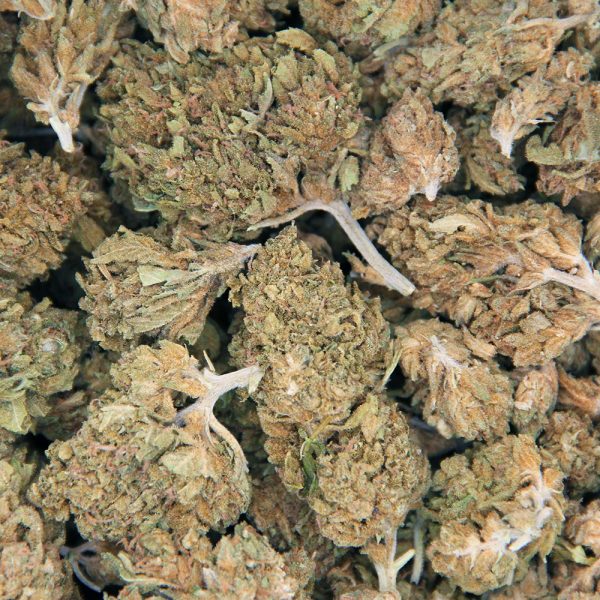 Nebula AA - Image 2