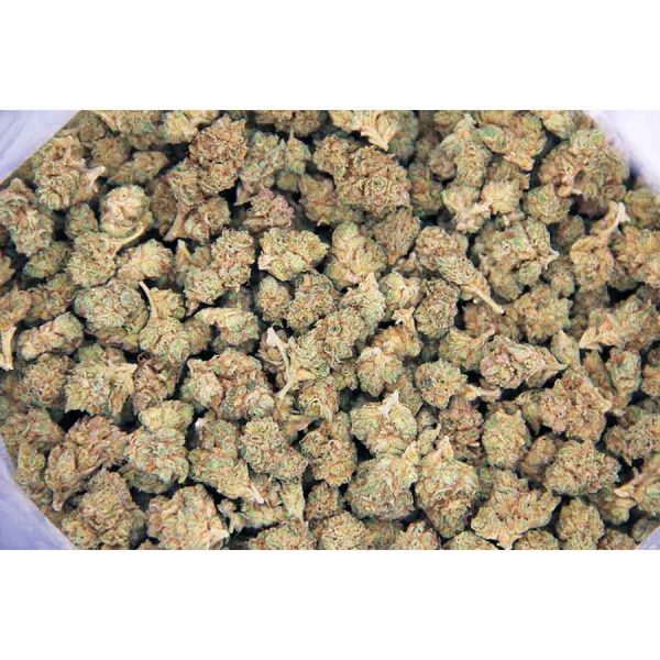 Mystery Popcorn AA - Image 2