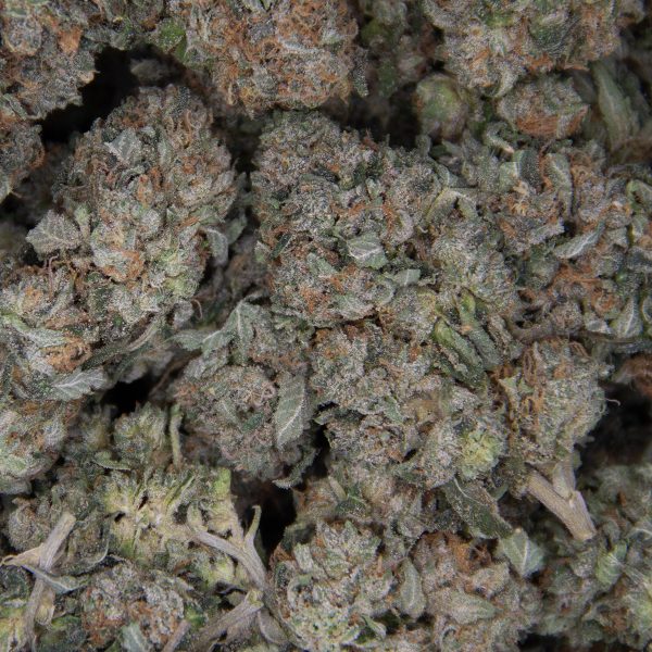 OG Kush AA - Image 2