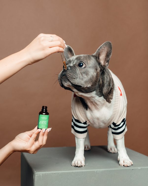 Pawsitive -  Medium Dogs 300mg CBD - Image 2