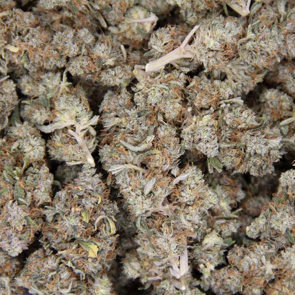 Pink Kush AA - Image 3